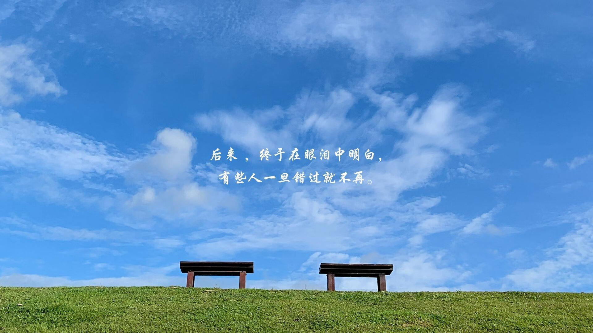 开云官网首页-新秀崛起：莱比锡红牛梅开二度掀翻沙尔克，莱比锡红牛实力