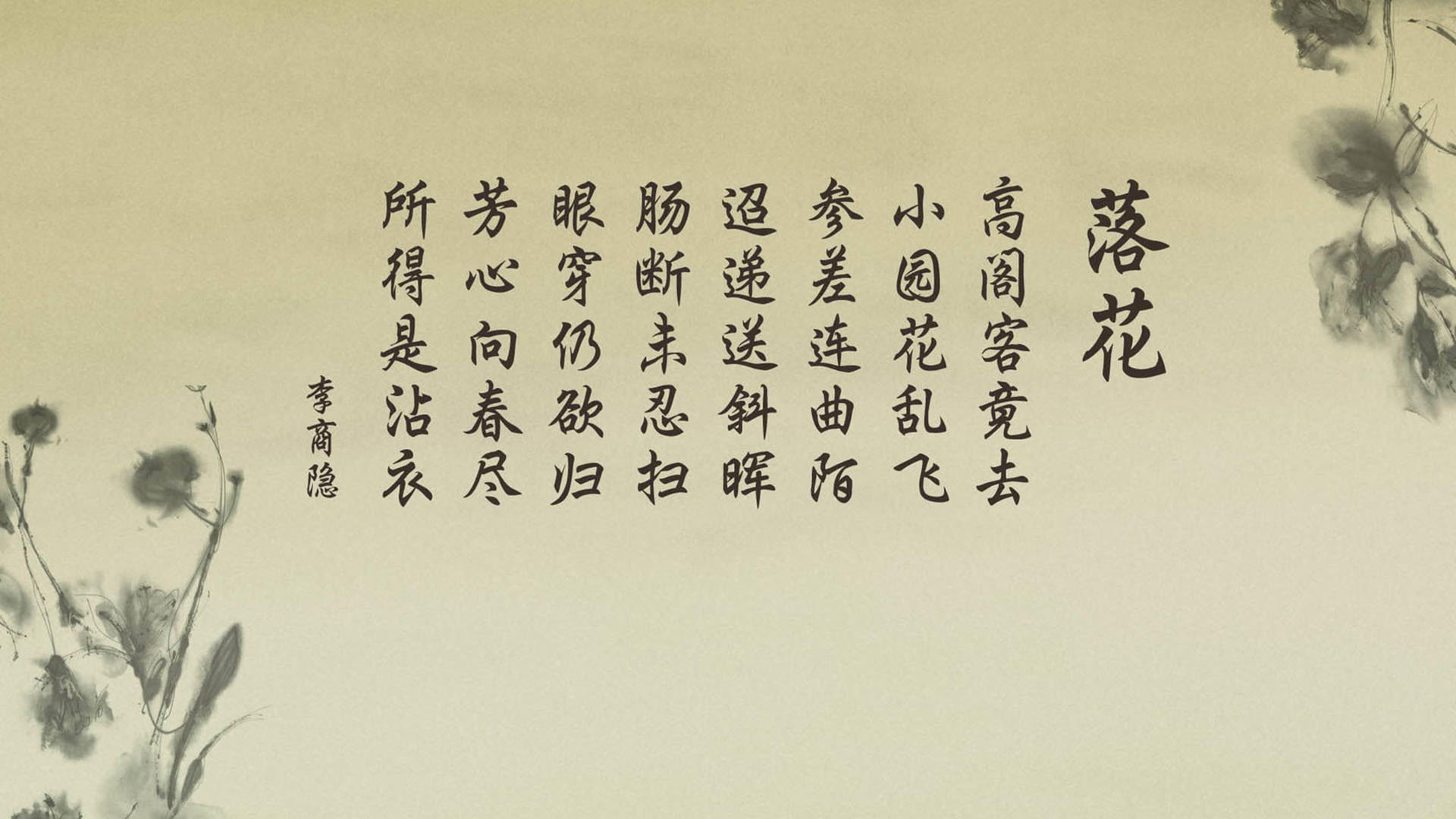 老鹰队球队整体表现稳步上升，老鹰队主场叫什么