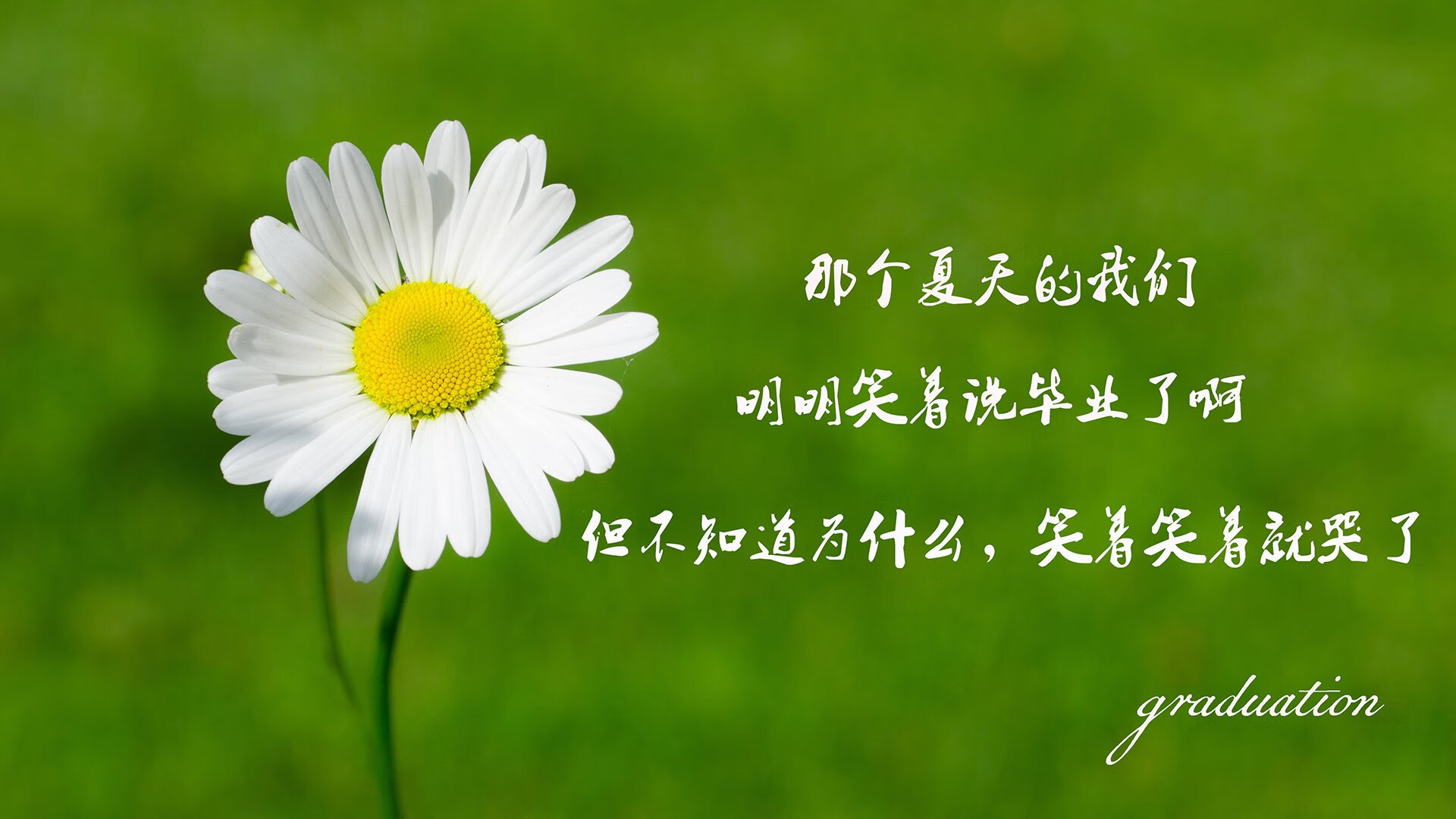 “高新体育中心：网球选手挑战极限，赛场火爆”