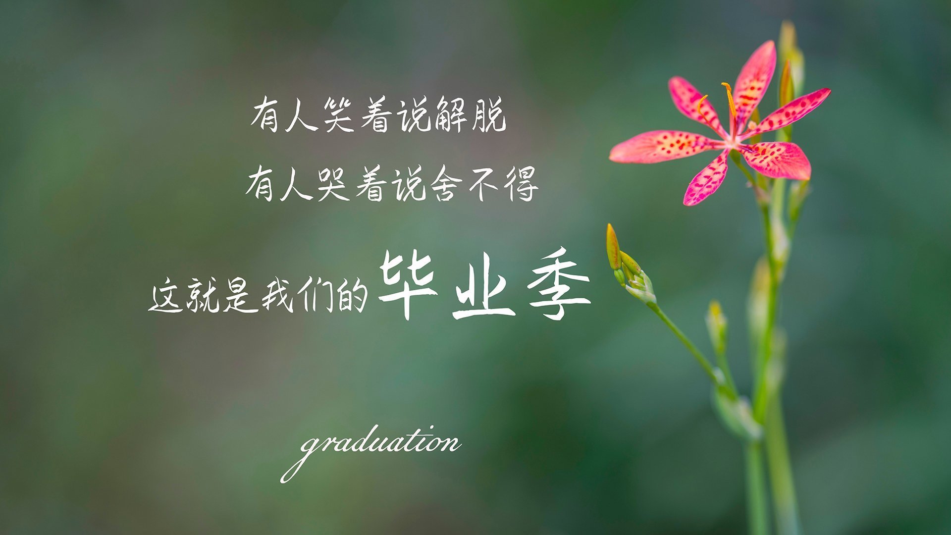 开云网页版登录入口-乒乓世界杯赛制大调整：2024混合团体赛制细节，乒乓世界杯团体赛出场顺序