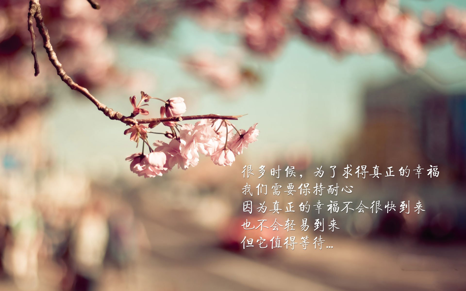 开云网站-火箭后卫回应网络质疑坚持做最好的自己，火箭队的后卫