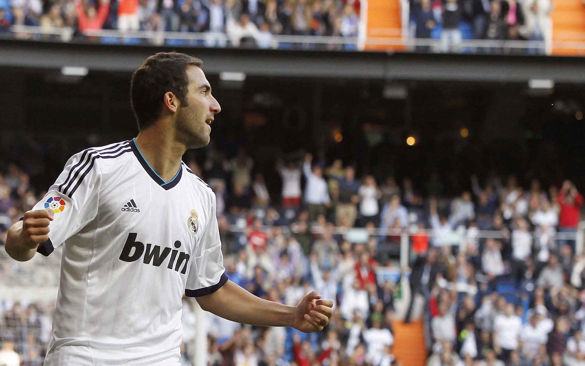 “球场内外：球员的动人故事和激情人生”，关于球员